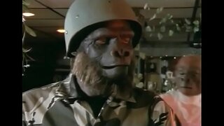 این همبازی میمون