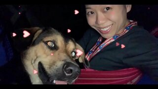 D &#039; REGIERUNG ASS HIRE FEIND, a SI GËTT k. JIDDEREEN VUN EIS, WANN SE NET ELO HANDELEN! STUERZ vun HIRE Regierungen a &amp;amp; Liichten, ALL 5G-TIERM ELO, IER ET k. S EIS ALL!!